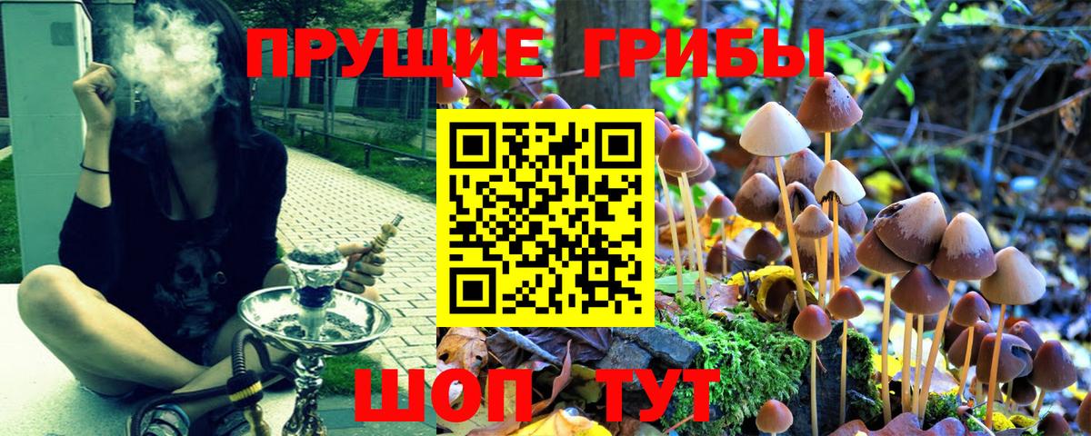 Галлюциногенные грибы Cubensis Лесосибирск
